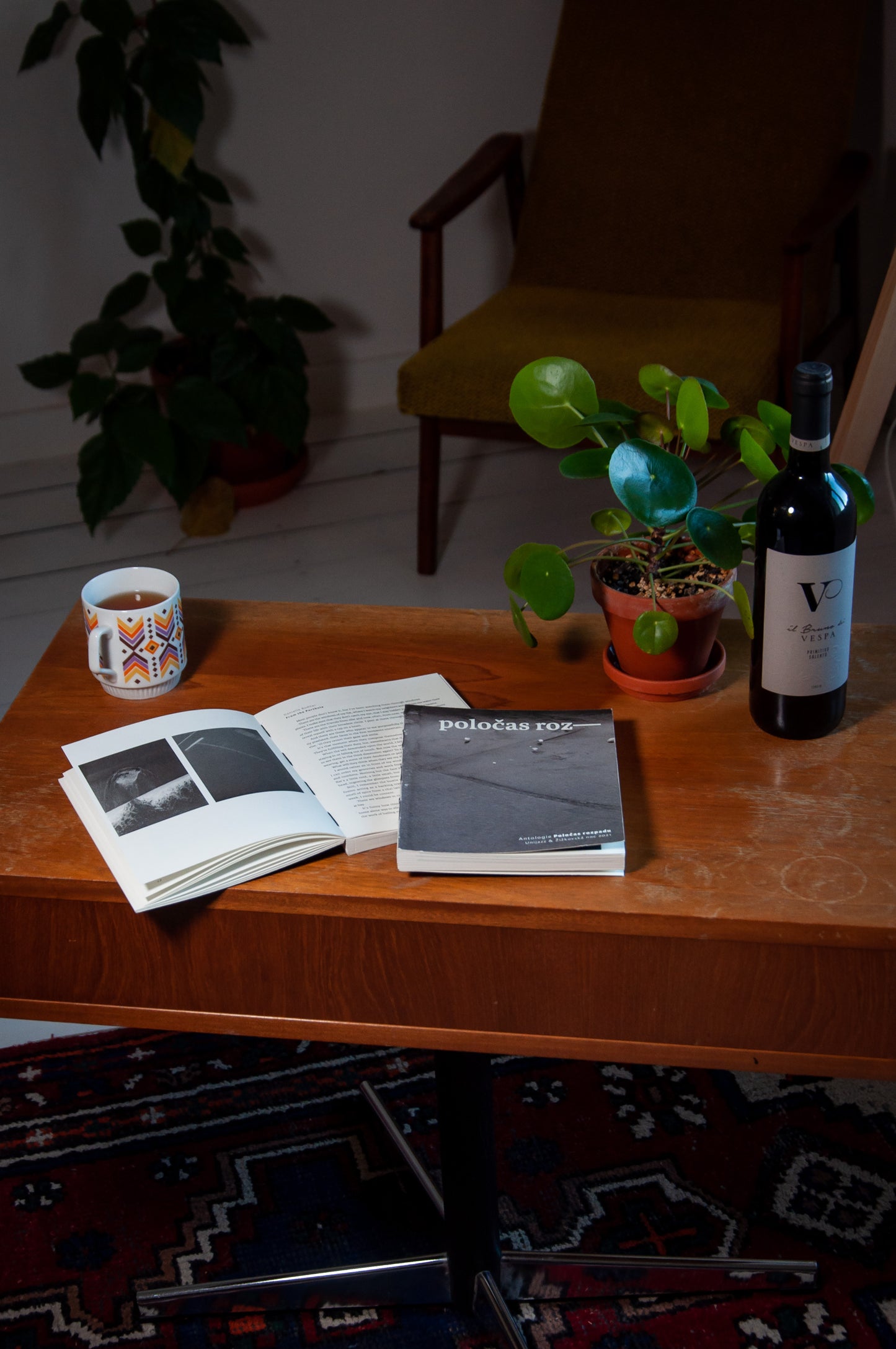 Poločas rozpadu - kniha