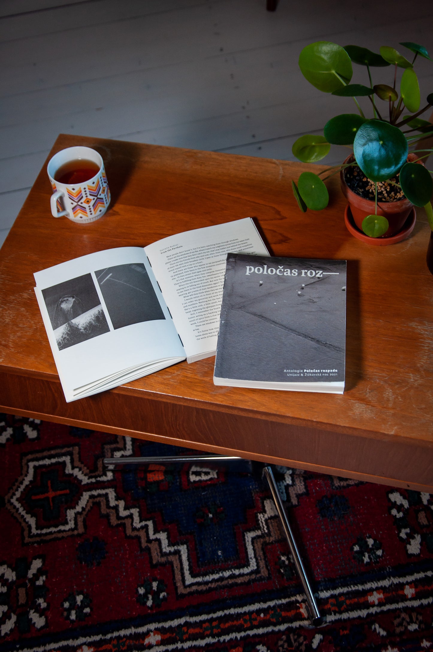 Poločas rozpadu - kniha