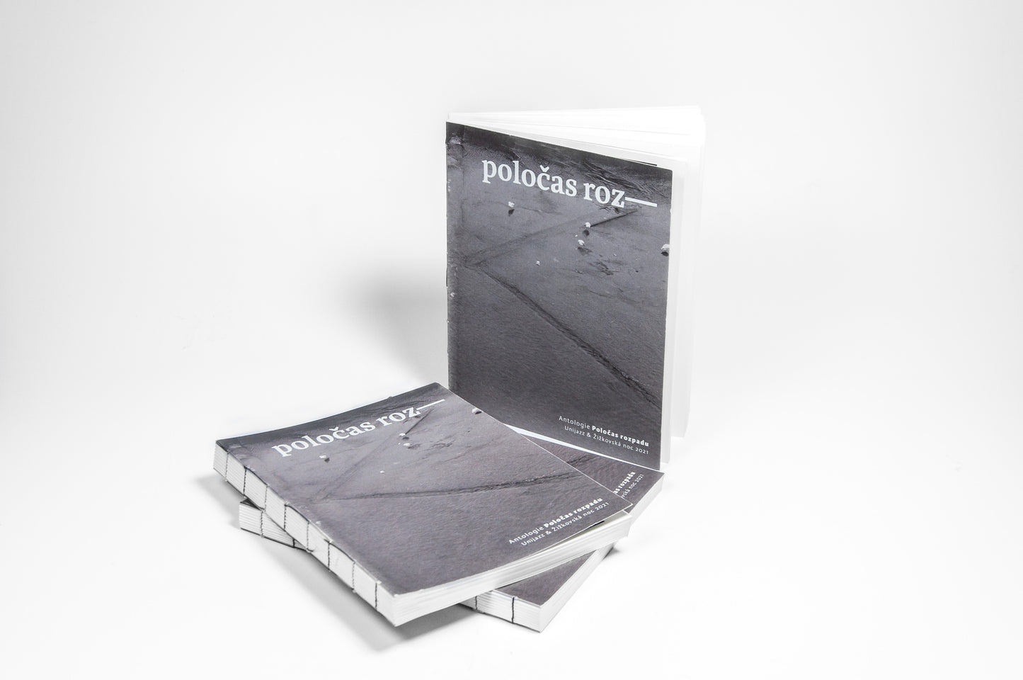 Poločas rozpadu - kniha