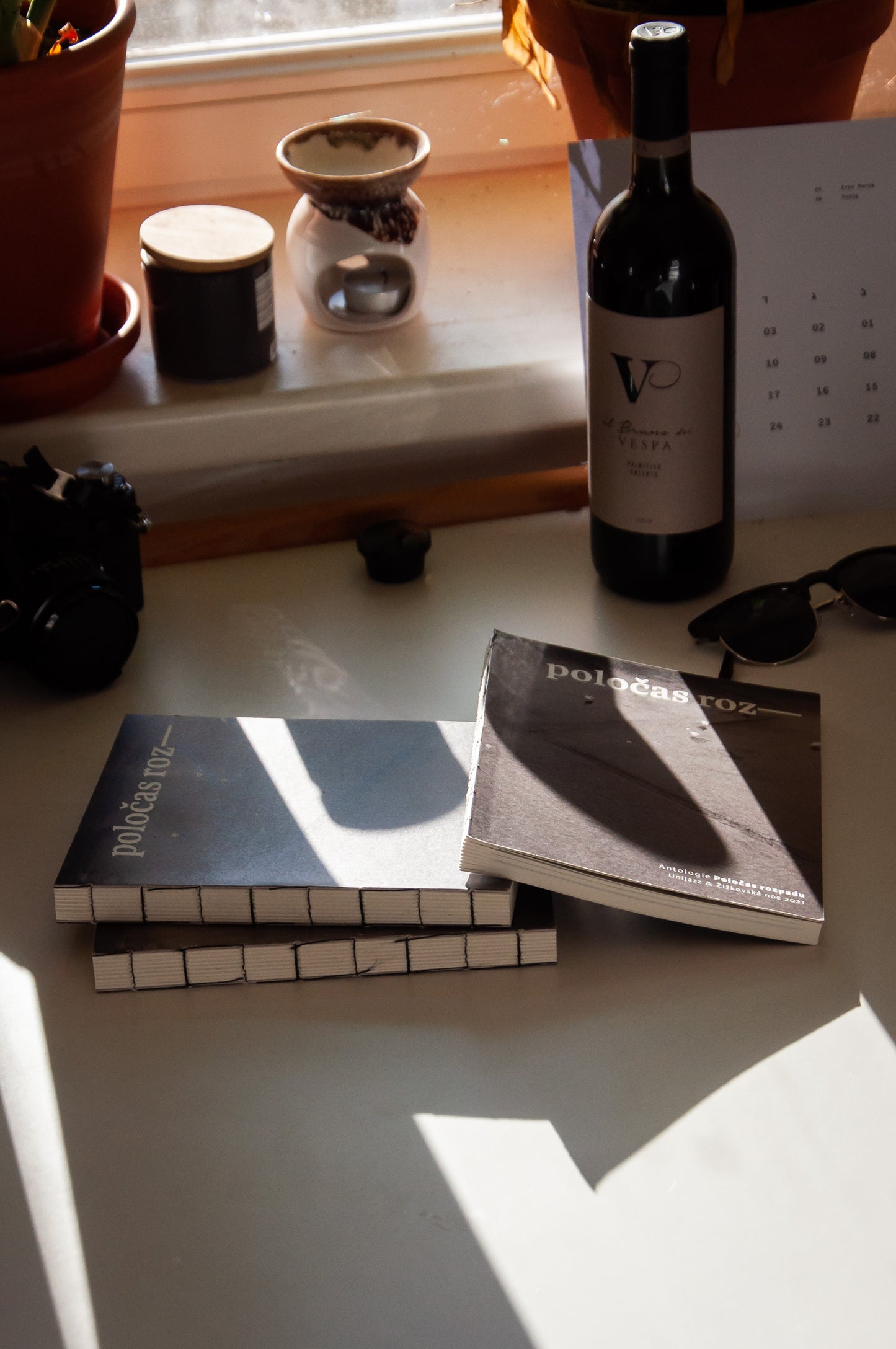 Poločas rozpadu - kniha