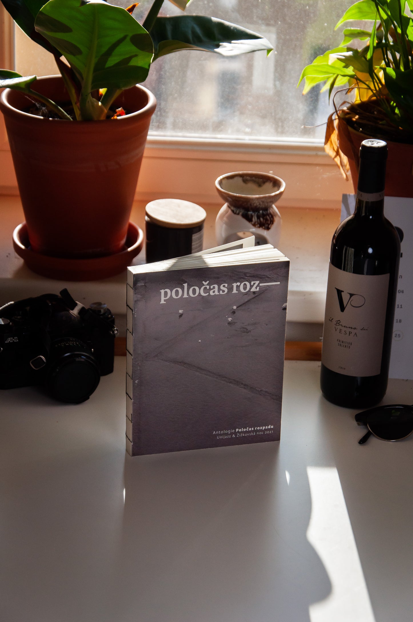 Poločas rozpadu - kniha