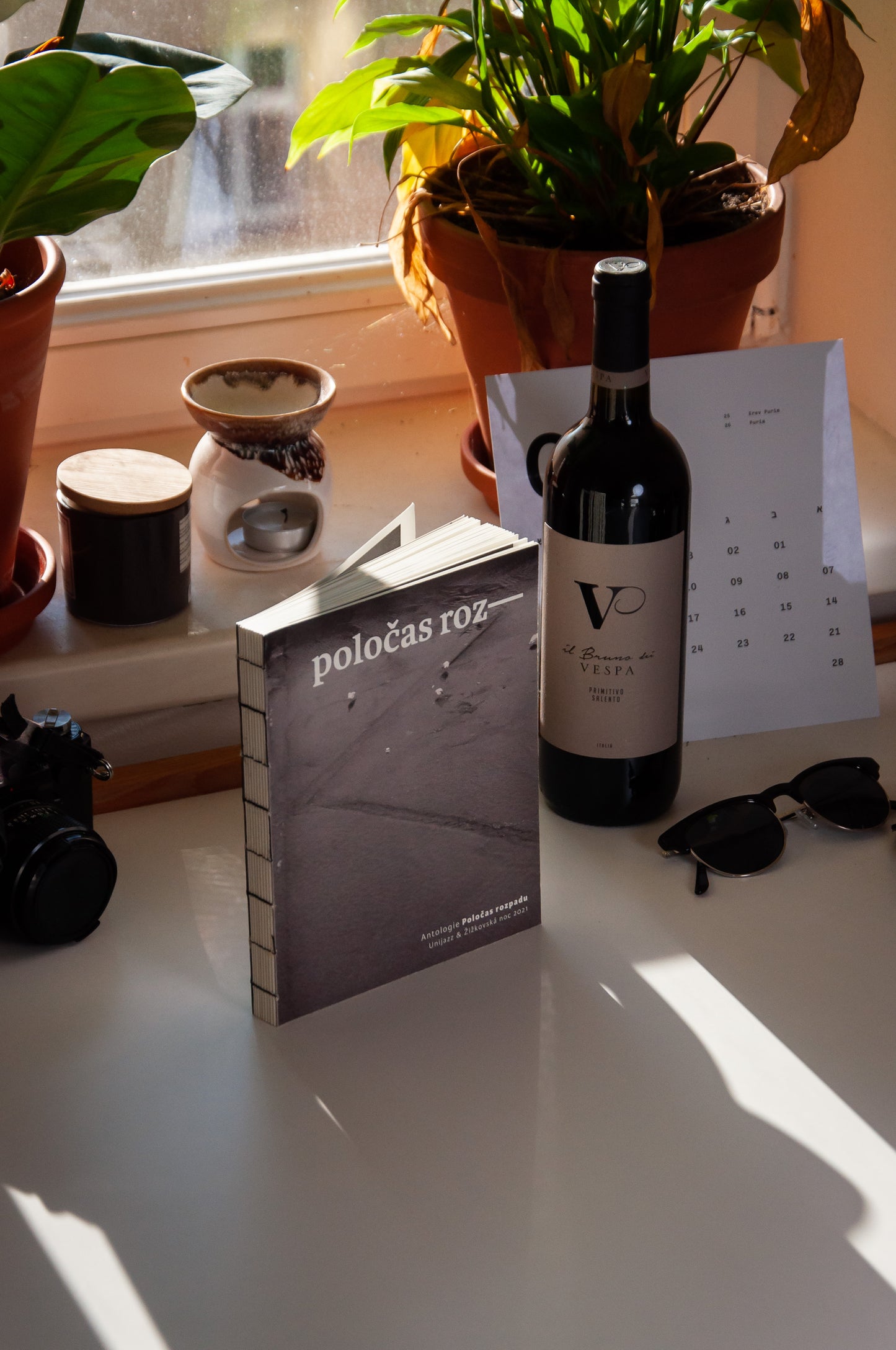 Poločas rozpadu - kniha