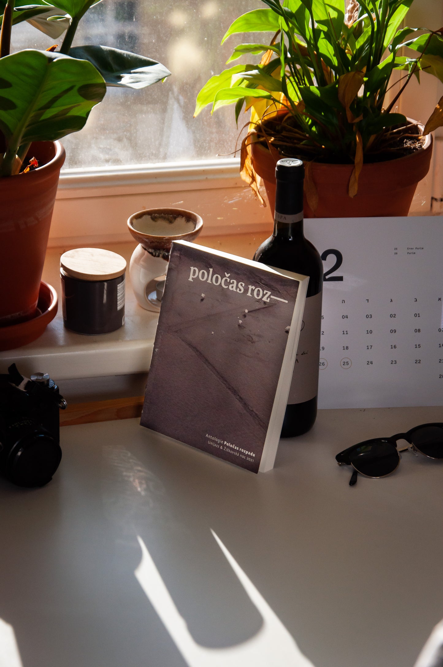 Poločas rozpadu - kniha