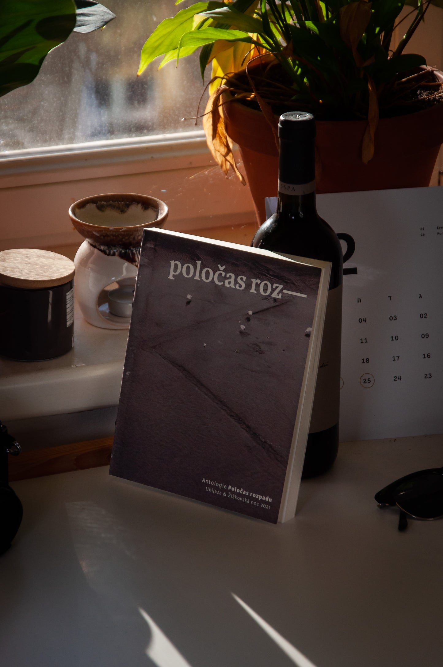 Poločas rozpadu - kniha