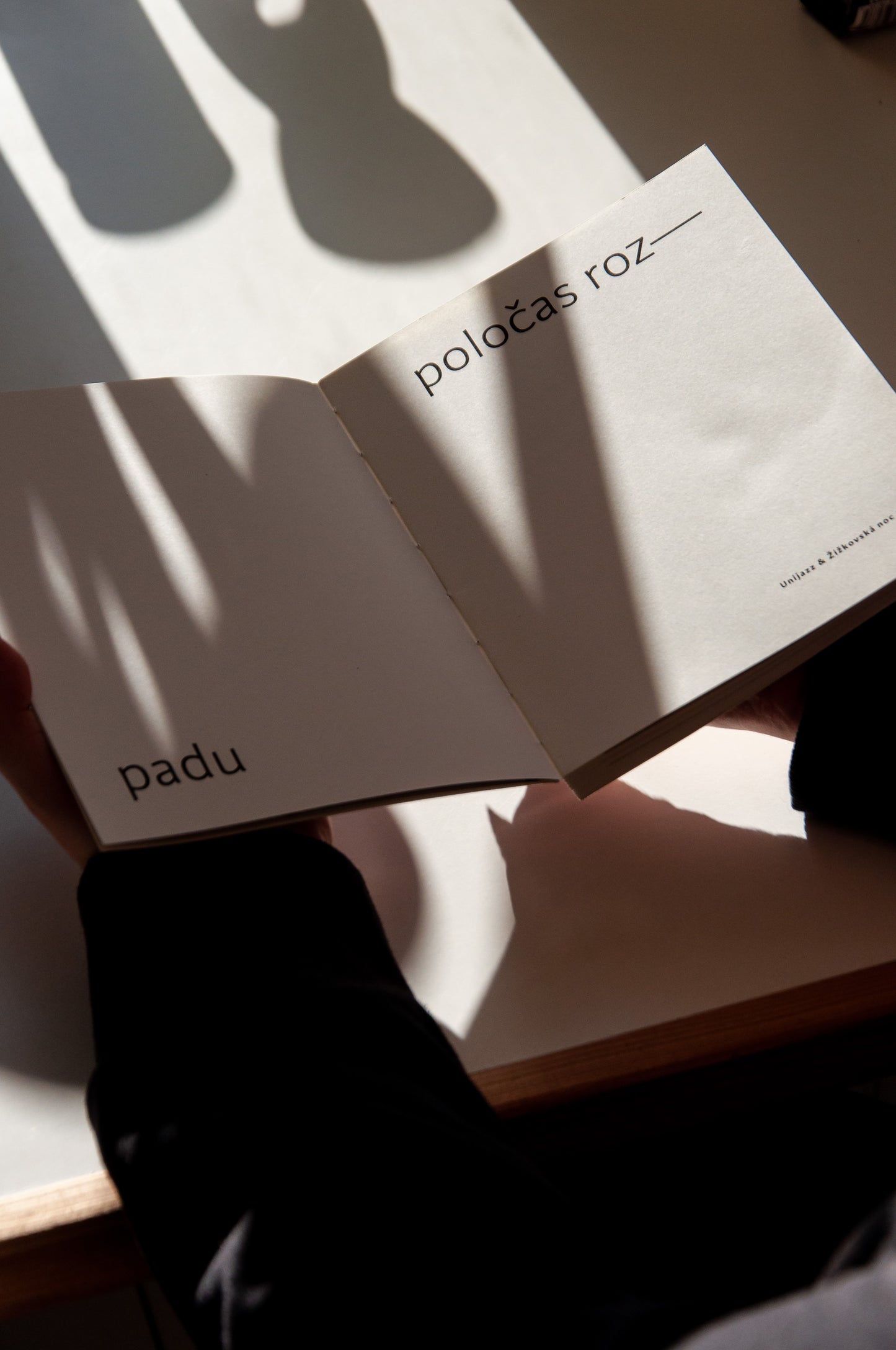 Poločas rozpadu - kniha