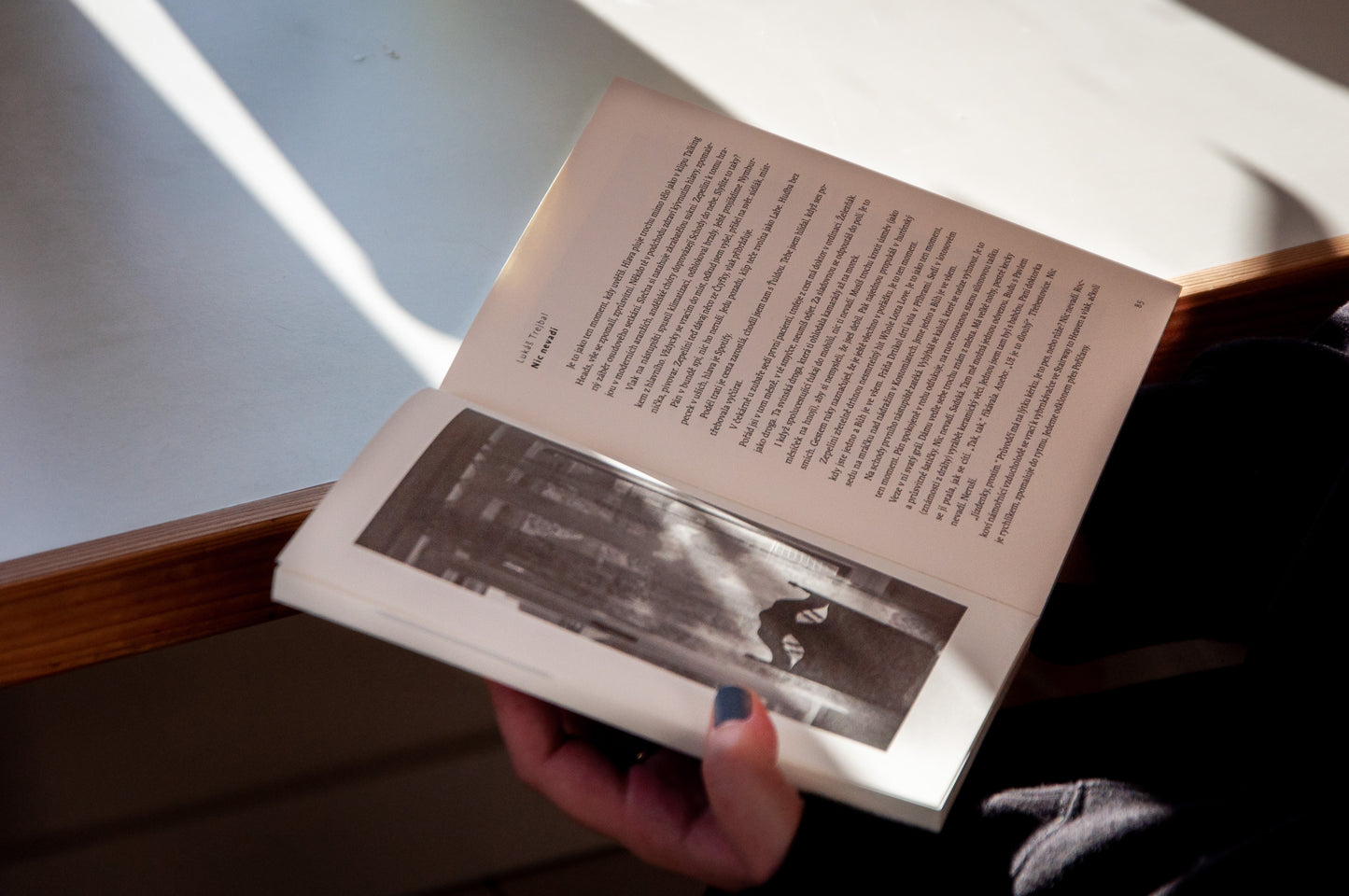 Poločas rozpadu - kniha