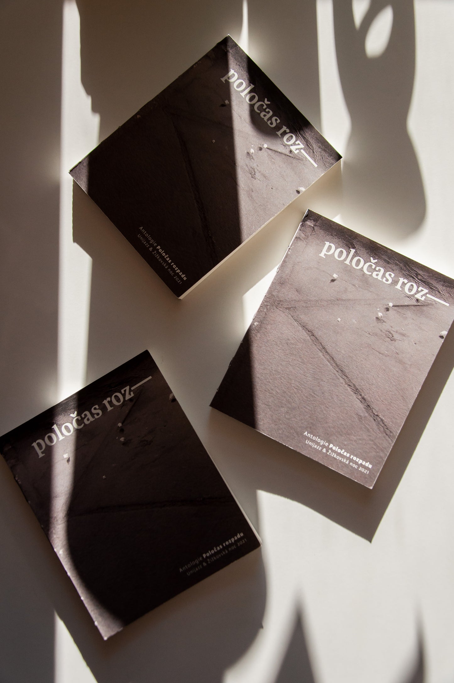 Poločas rozpadu - kniha