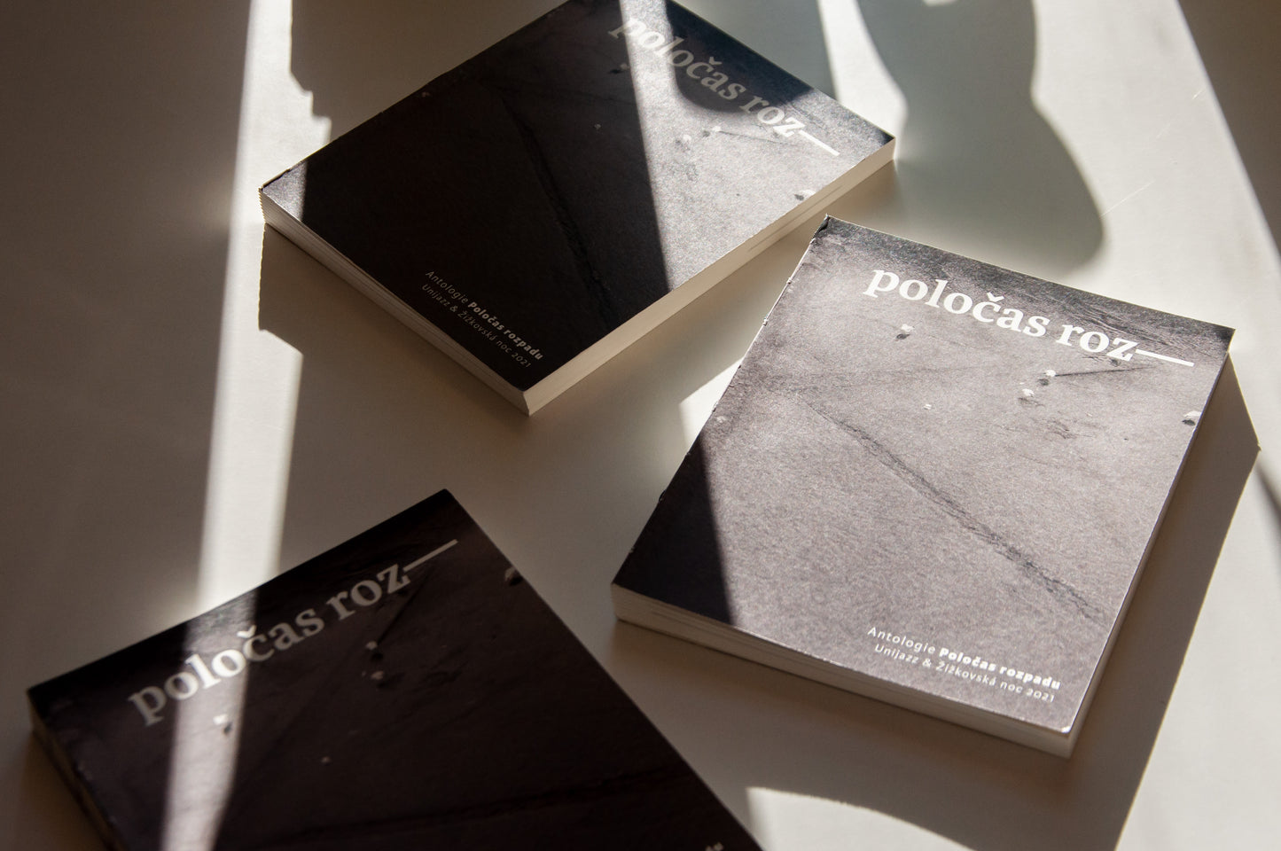 Poločas rozpadu - kniha