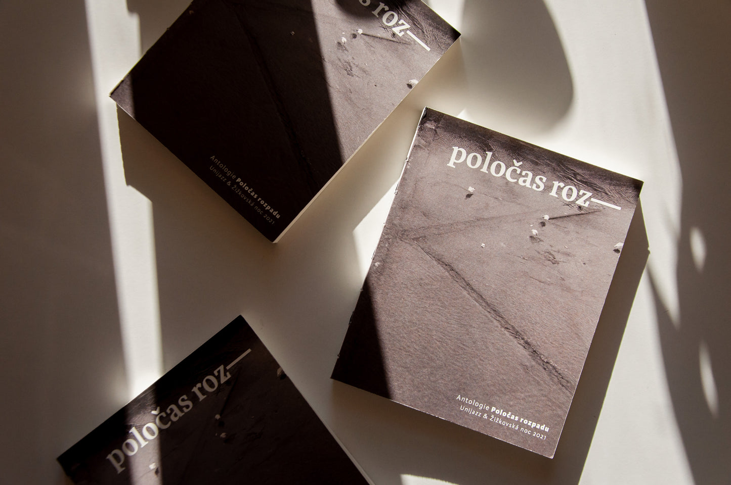 Poločas rozpadu - kniha