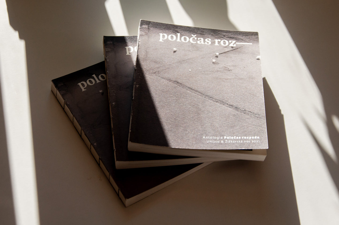 Poločas rozpadu - kniha