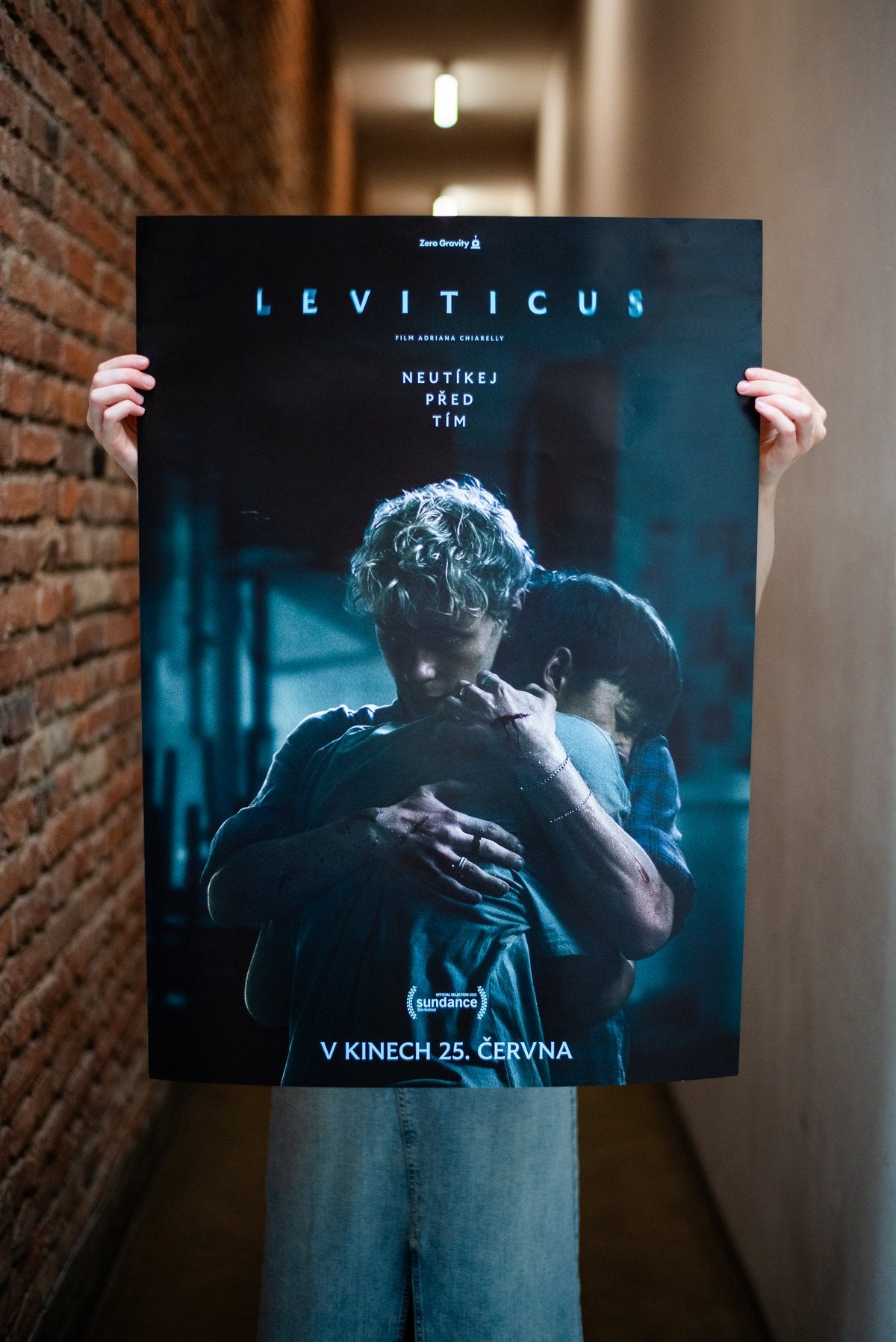 Filmový plakát — Leviticus