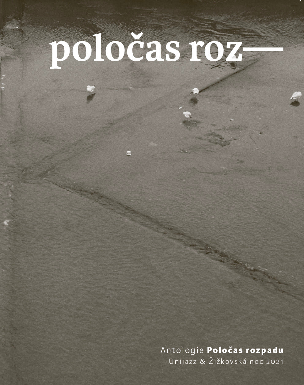 Poločas rozpadu - kniha